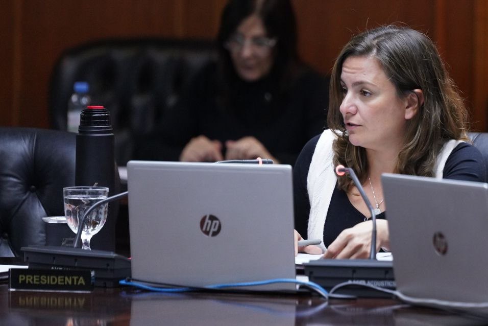 Vanesa Siley desarmó el relato sobre la industria del juicio: "Lo hemos dicho cuando se discutió la Reforma...