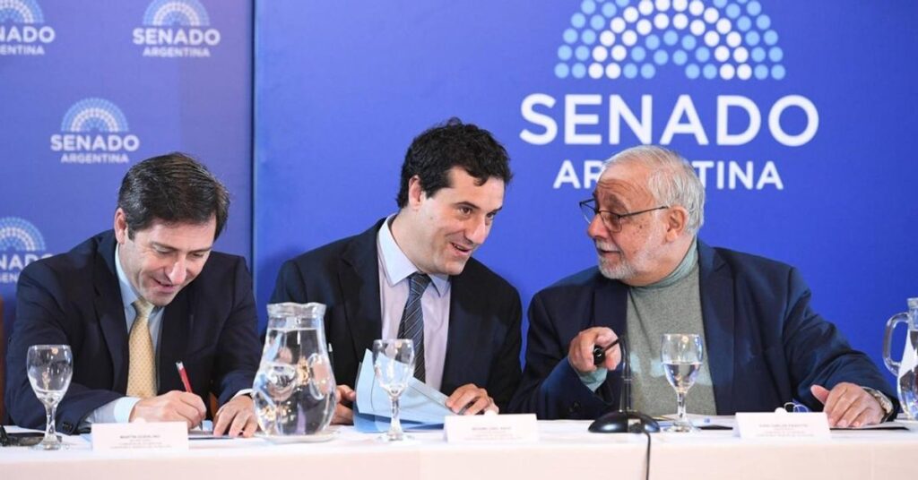 El juez Pesino defiende su pliego en el Senado que tiene cuatro impugnaciones de abogados, la CGT, los Judi...