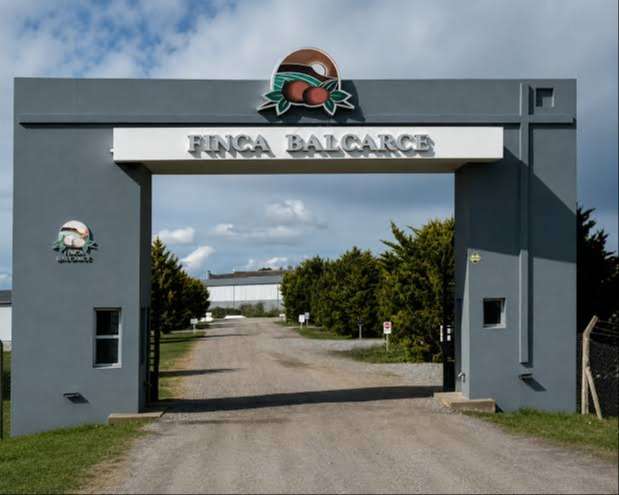 Cerró una histórica fábrica de papas de Balcarce y todos sus trabajadores quedaron en la calle